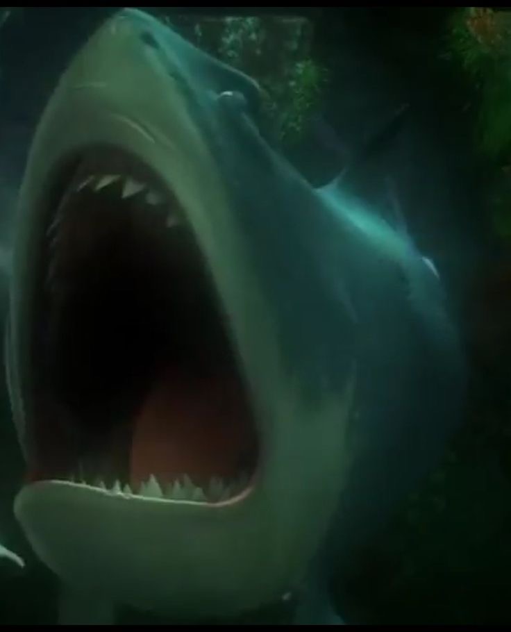 Bruce crying in finding Nemo by noelbutler2578 on DeviantArt