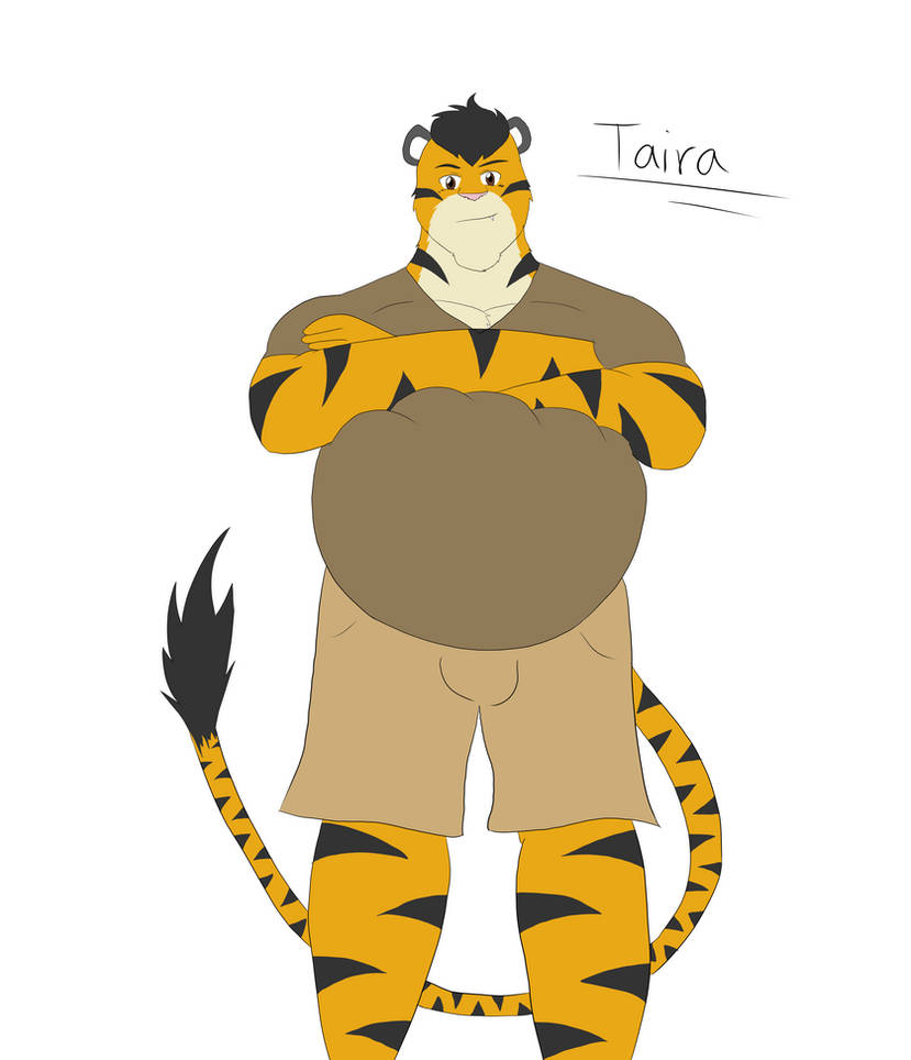 Abstract Taira New Character Taira by FlamingTiger98 on DeviantArt