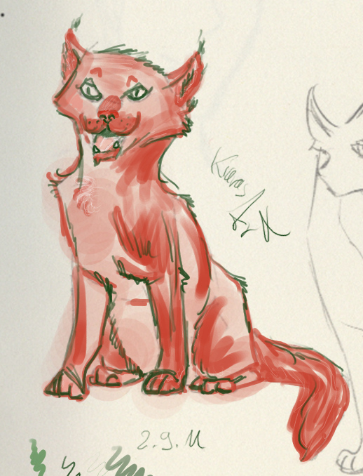 red cat 1