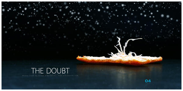 Winter Trees: The Doubt