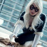 Catch! - Black Cat Cosplay