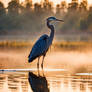 A Realistic Blue Heron In A Misty Morning Marsh 9