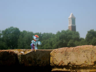 Rainbow Dash @ Denny Chimes