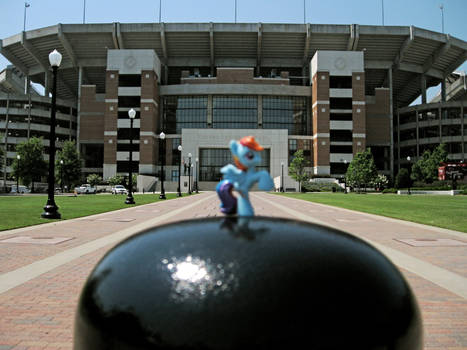 Rainbow Dash @ Bryant-Denny Stadium