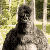 Gorilla Thumbs Up Emote