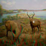Stereoscopic Antelope