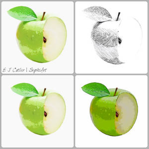 R Black Apple Logo Design