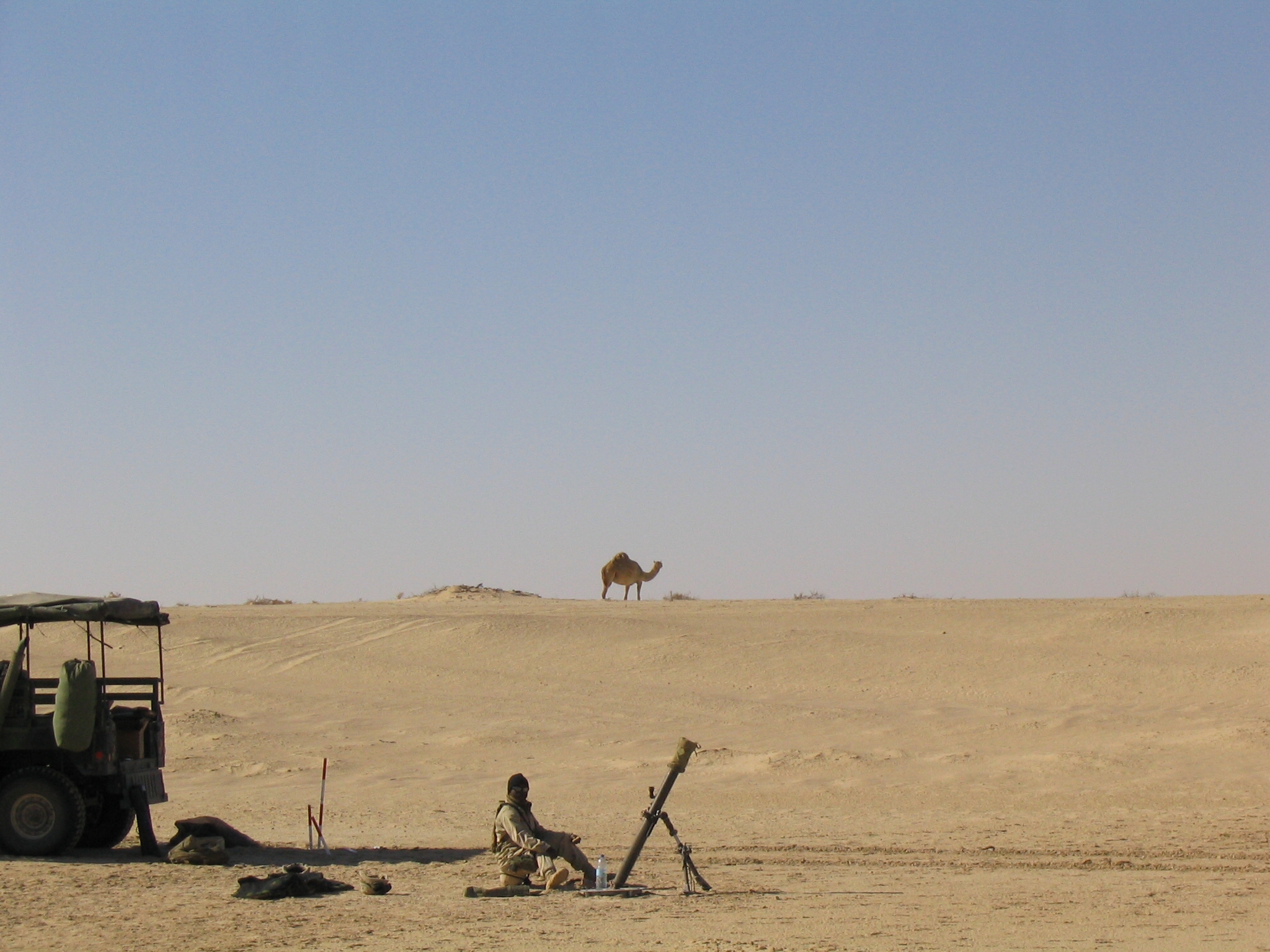 The camel on patrol