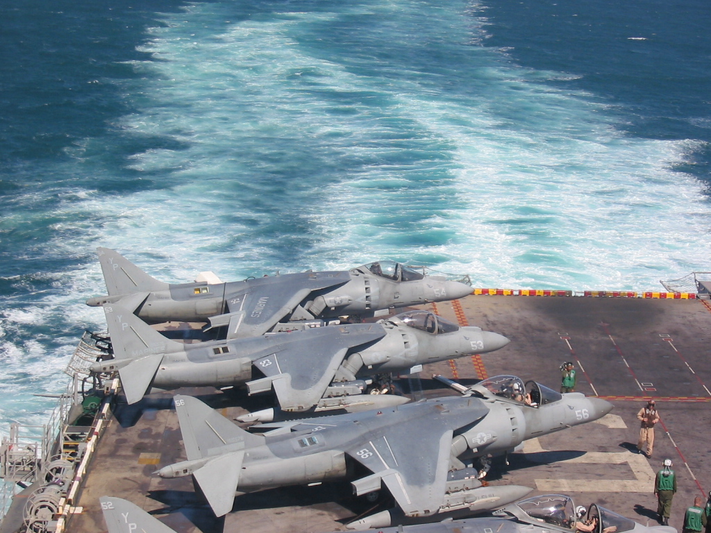 Harrier at rest