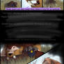 BOAF Page 5