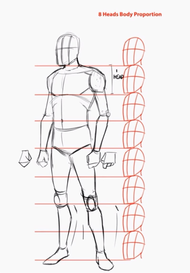 Figure Drawing Tutorial: Angles & Proportions (Male & Female) 
