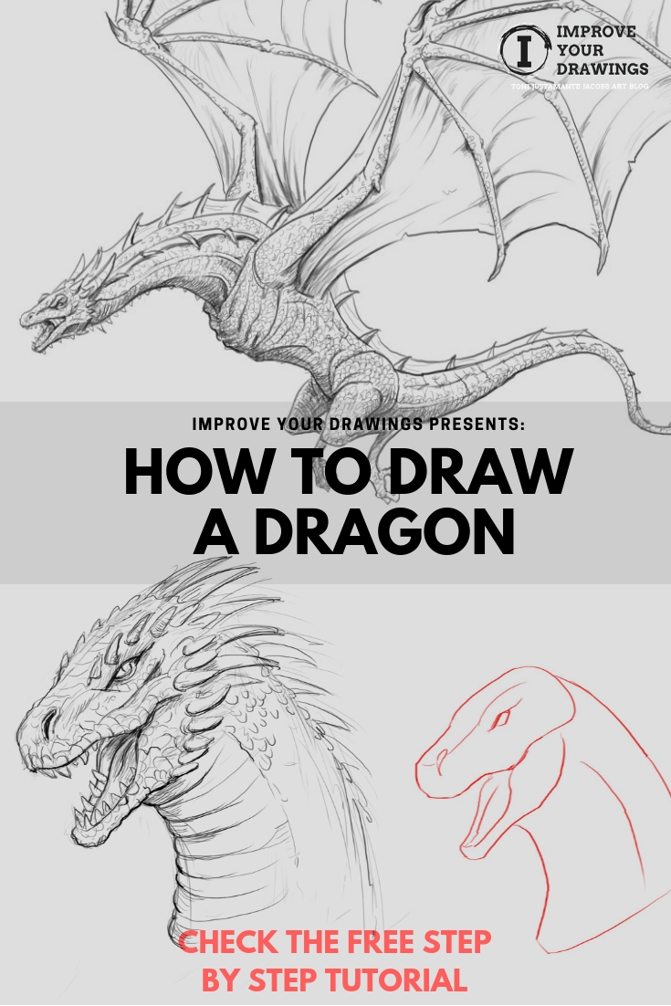 How to Draw a Dragon - Instructions for Easy Dragon Drawing
