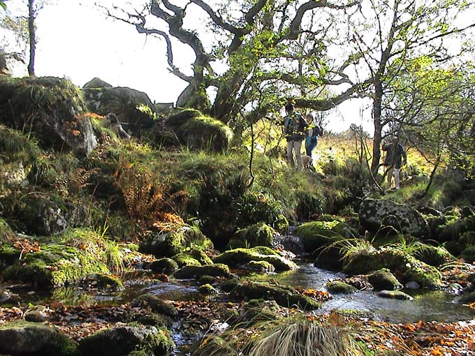 Riverside Landscape