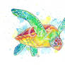 Green Turtle Watercolour Painting