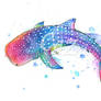 Rainbow Whale Shark Watercolor Painting