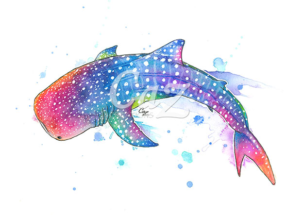 Rainbow Whale Shark Watercolor Painting