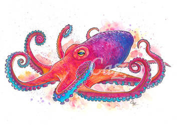 Vibrant Octopus Fine Art Watercolor