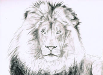 Lion of Judah