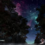 Canvas of Night