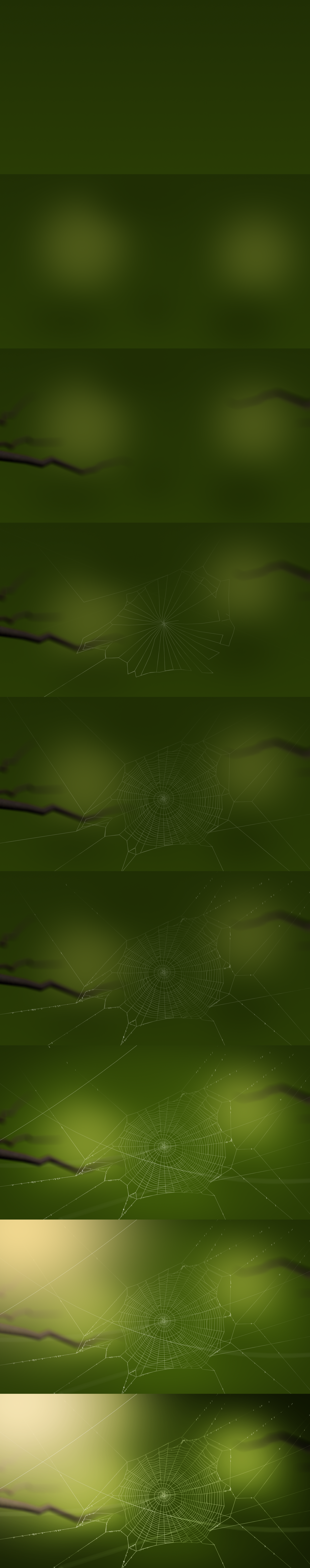 Complete Steps | Progress