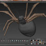 Spider WIP