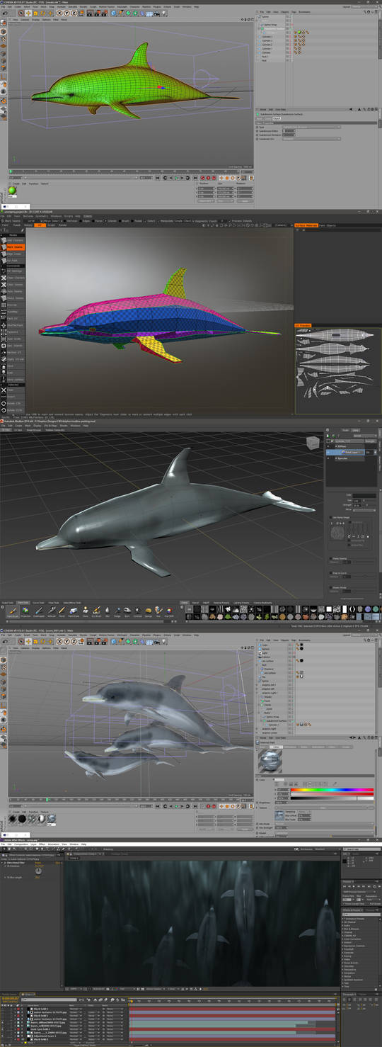 Dolphin Modeling / Texturing Progress by abdelrahman on DeviantArt