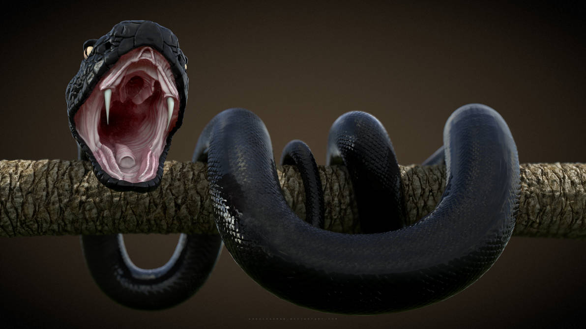 Ползущая змея во сне. Чёрная мамба змея. Змея обвивается. Змея обвилась вокруг. Змея близко.