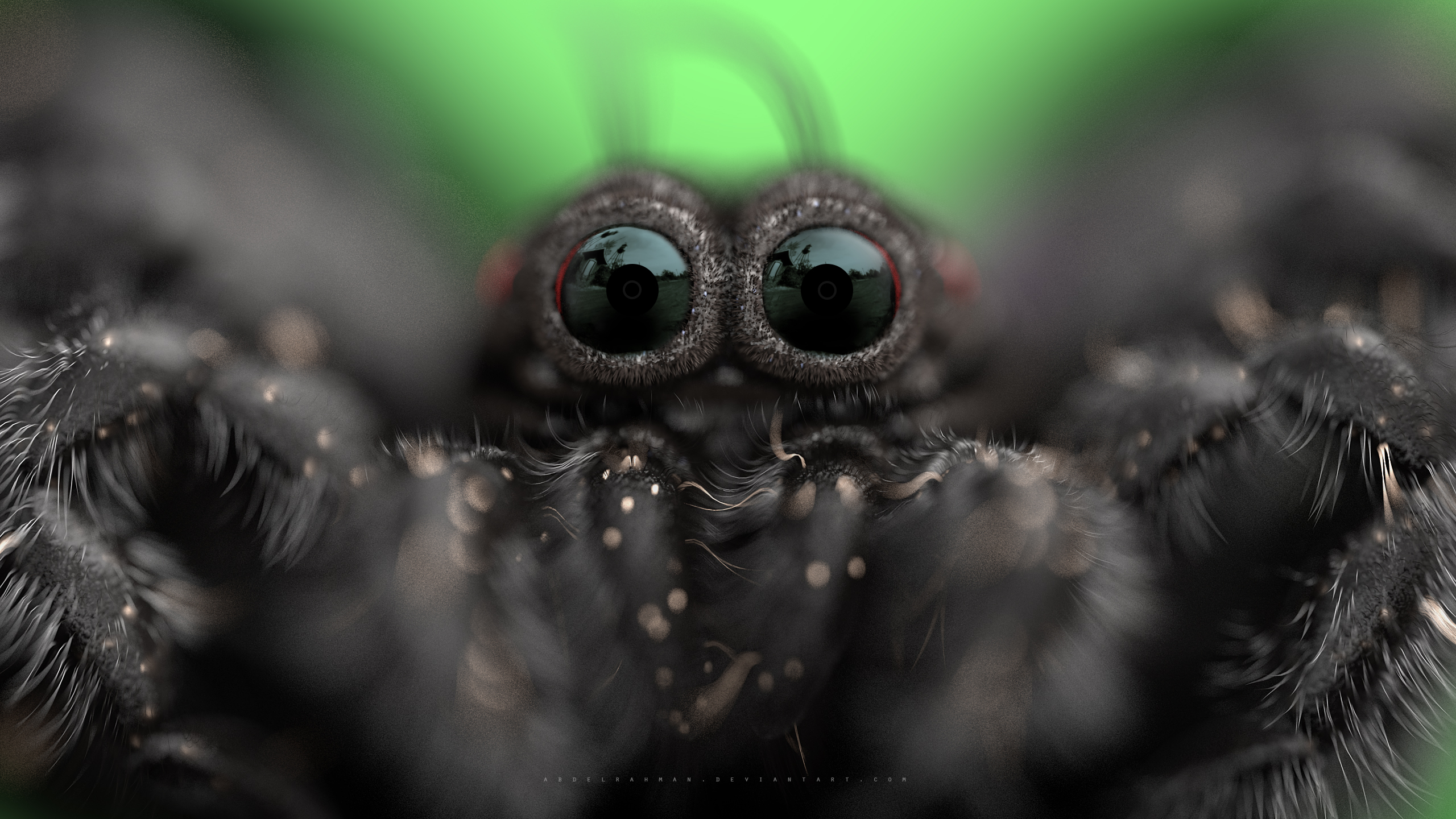 Along Came a Spider