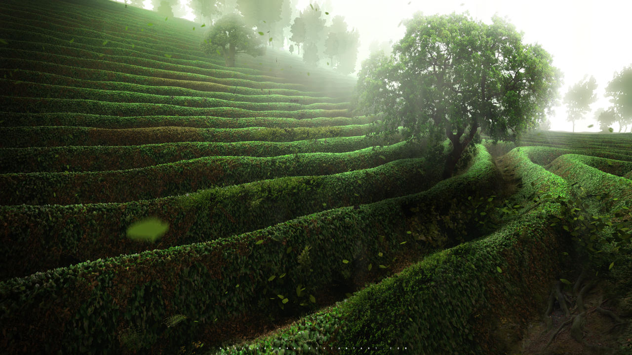 Green Place