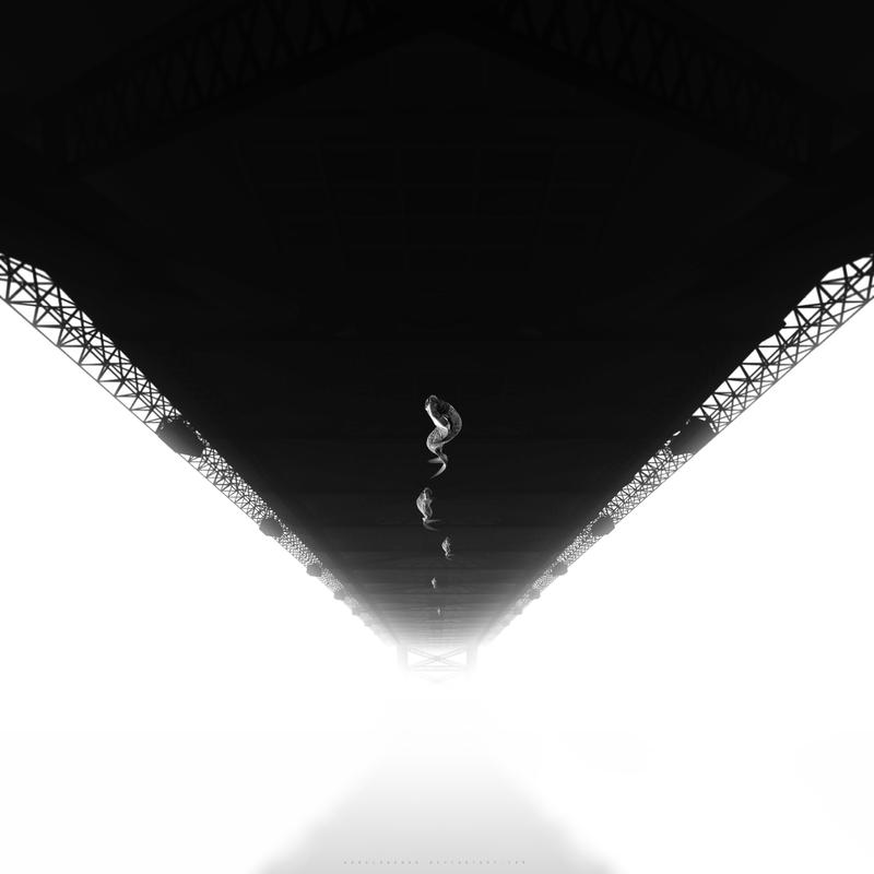 Through the Mist and Above the Sea