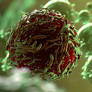 Virus | 4K Wall