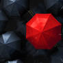 Red Umbrella | 4K Wallpaper