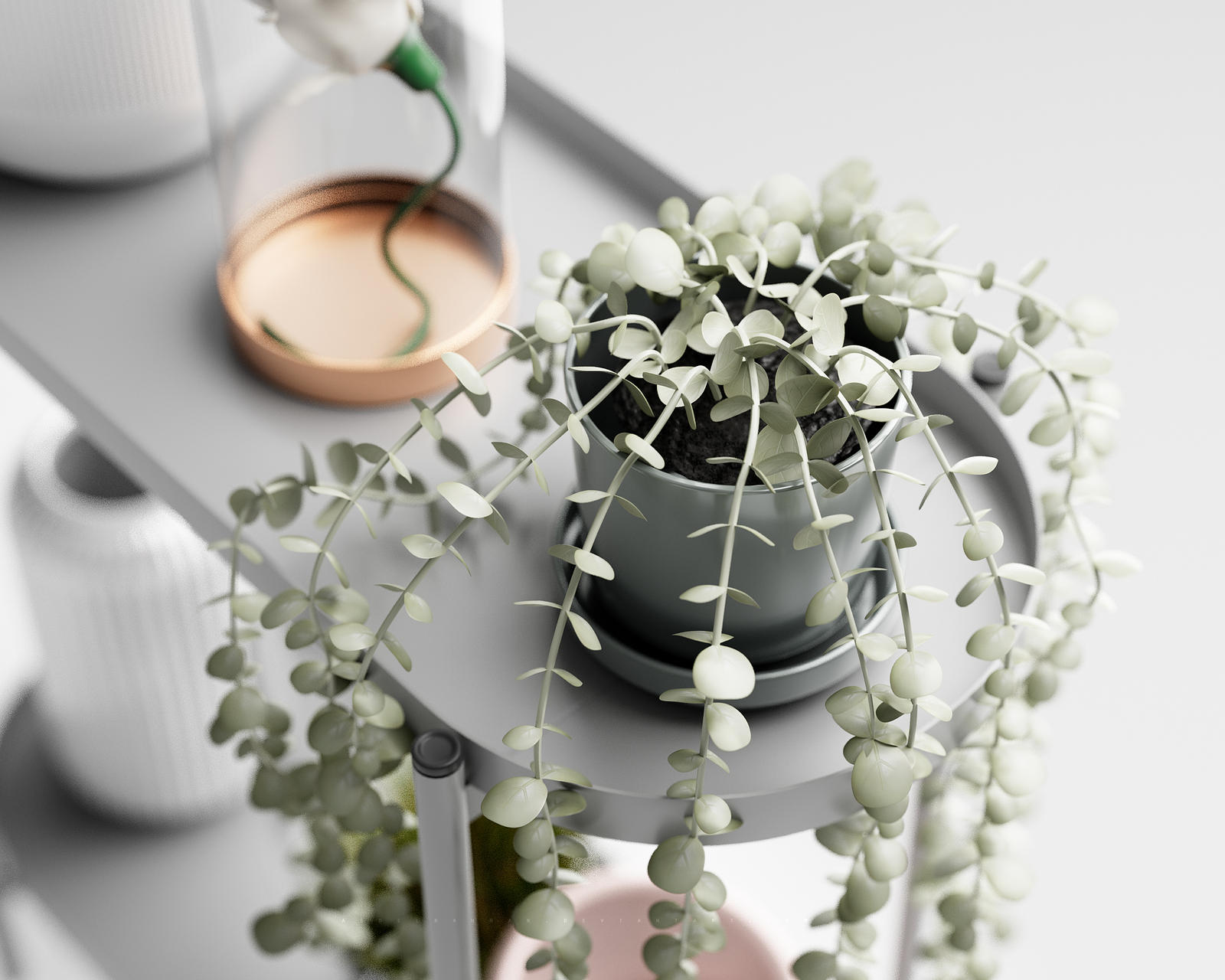 Realistic Hanging Eucalyptus 3D Render