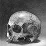 Skull Memoria