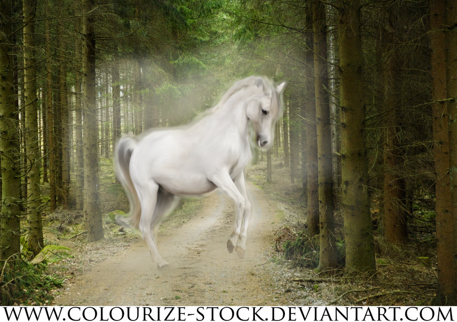 Third manip white horse