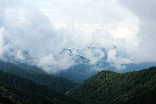 Great Smokey Mountains II