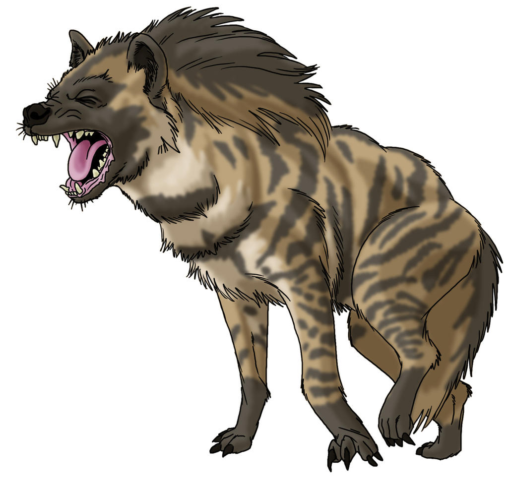 Hyena By ProdigyDuck On DeviantArt