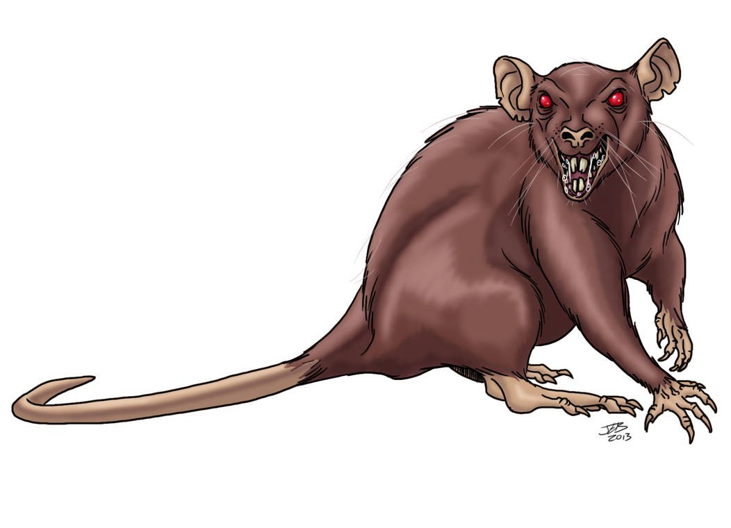 Dec Rat Dire Rat by ProdigyDuck on DeviantArt