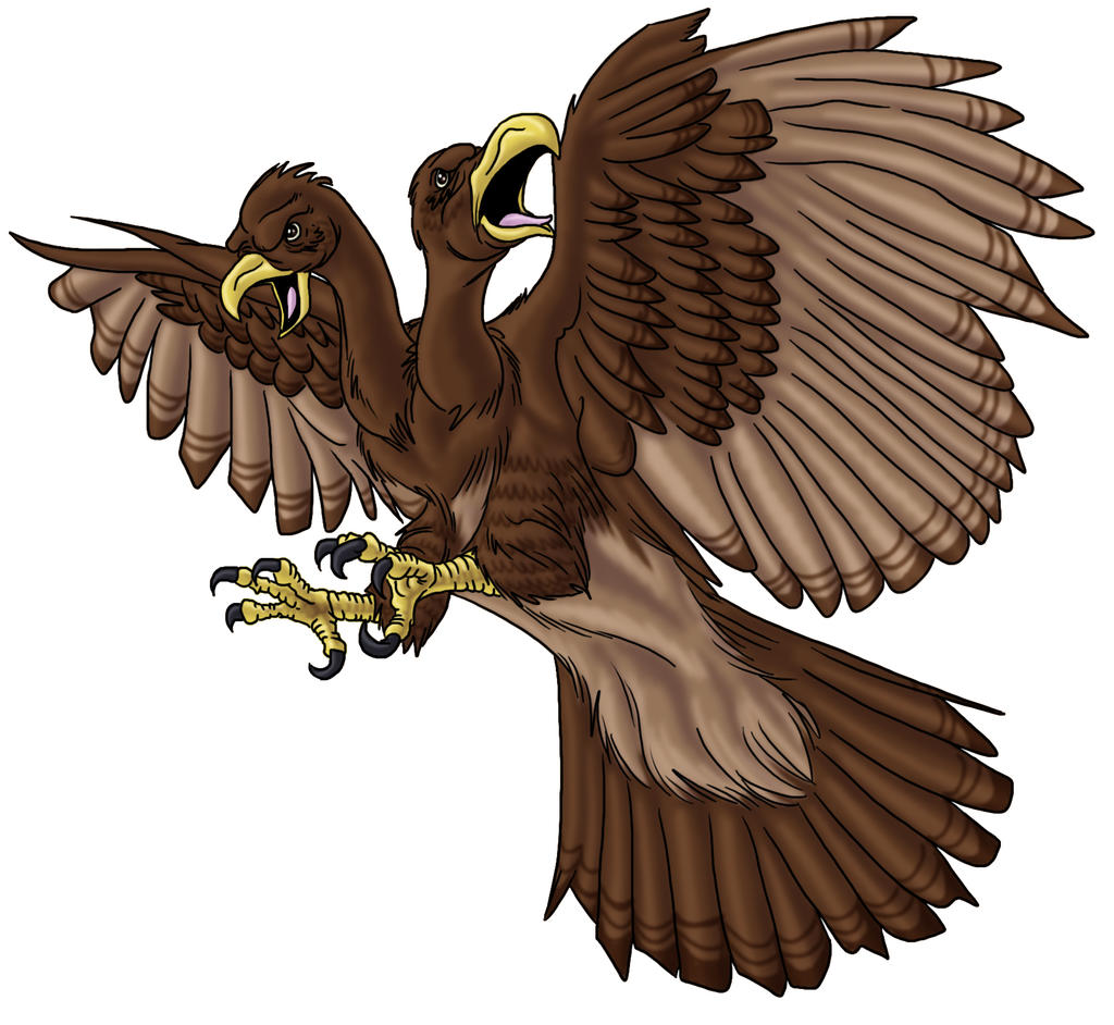 Roc by ProdigyDuck on DeviantArt