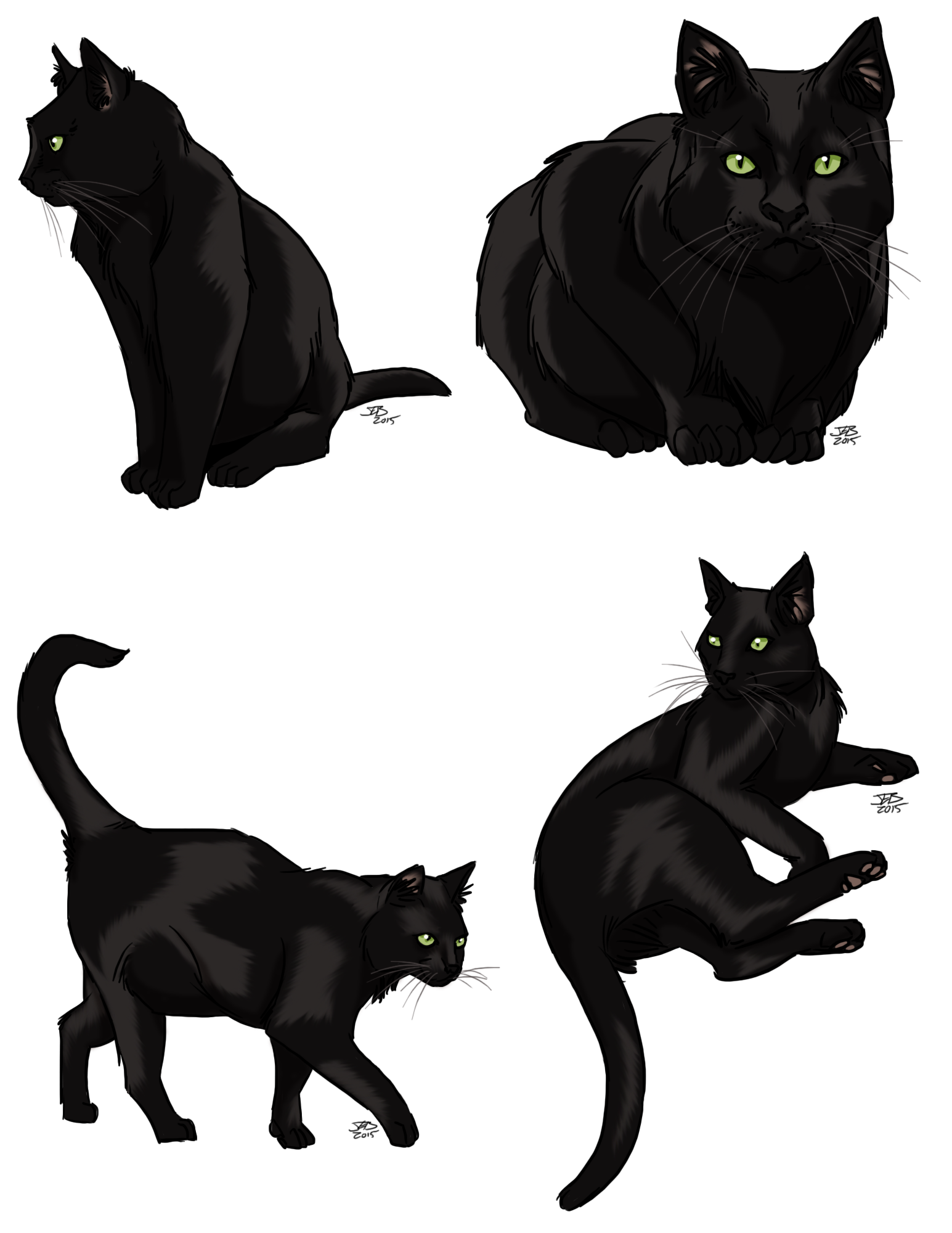 Black Cats