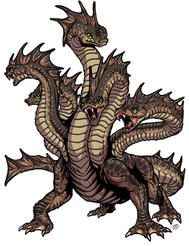 Hydra color
