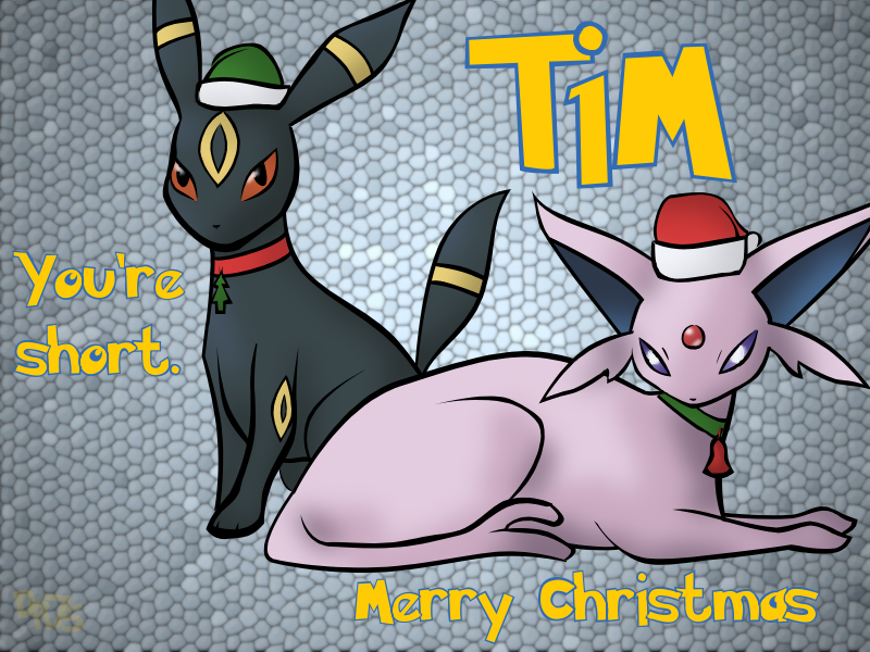 Christmas Request- Tim