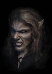 Werewolf Photomanipulation