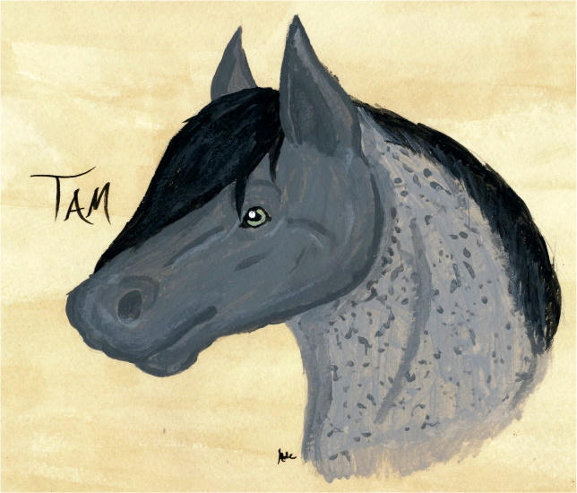 Tam Rune Tam Painting by Able-the-Annihilator on DeviantArt