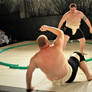 Iron Belly Sumo 2