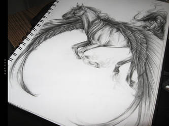 Pegasus