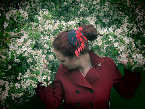 Field of Blossoms