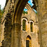 Abbaye d'Orval - Ruins 2