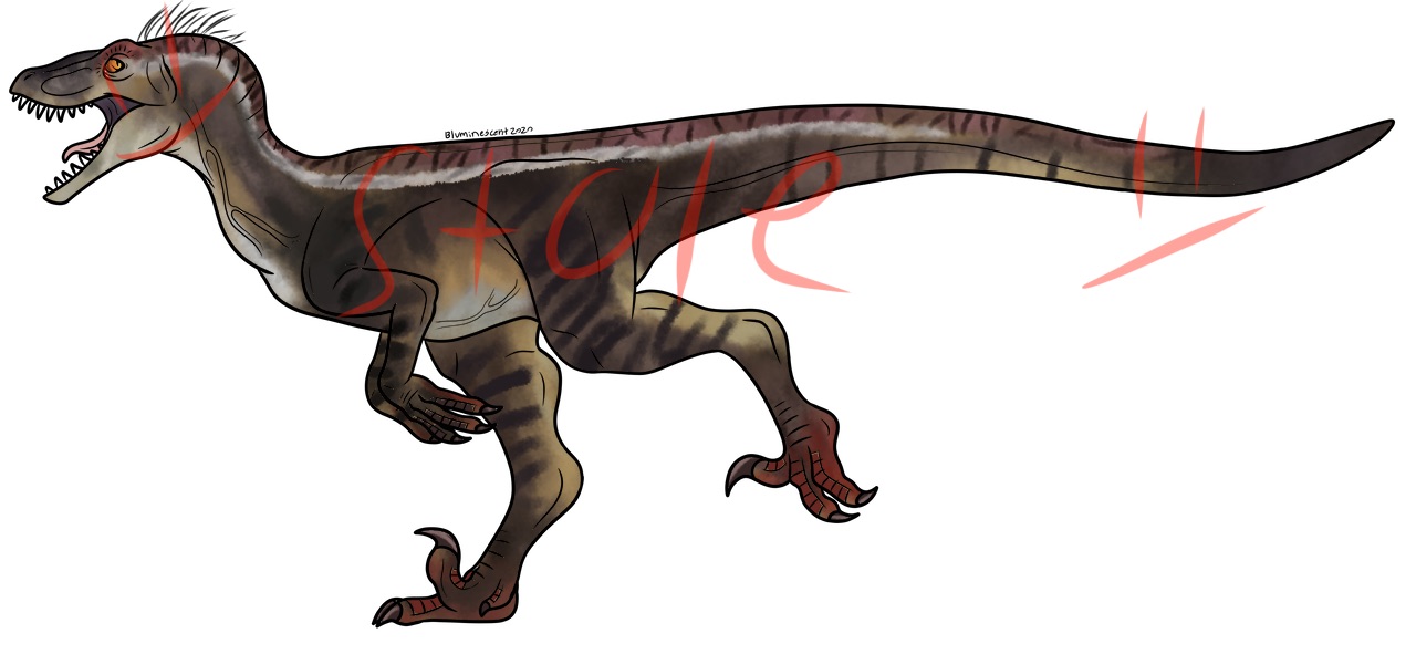 Jp 3 raptor(male) by wofdudehe on DeviantArt