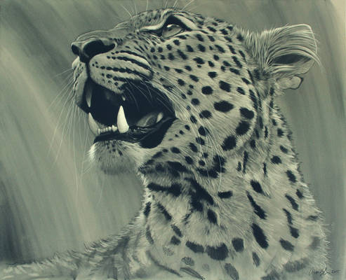 Leopard Portrait Charcoal